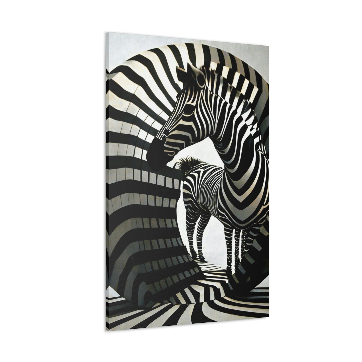 Abstract Zebra Ball Art