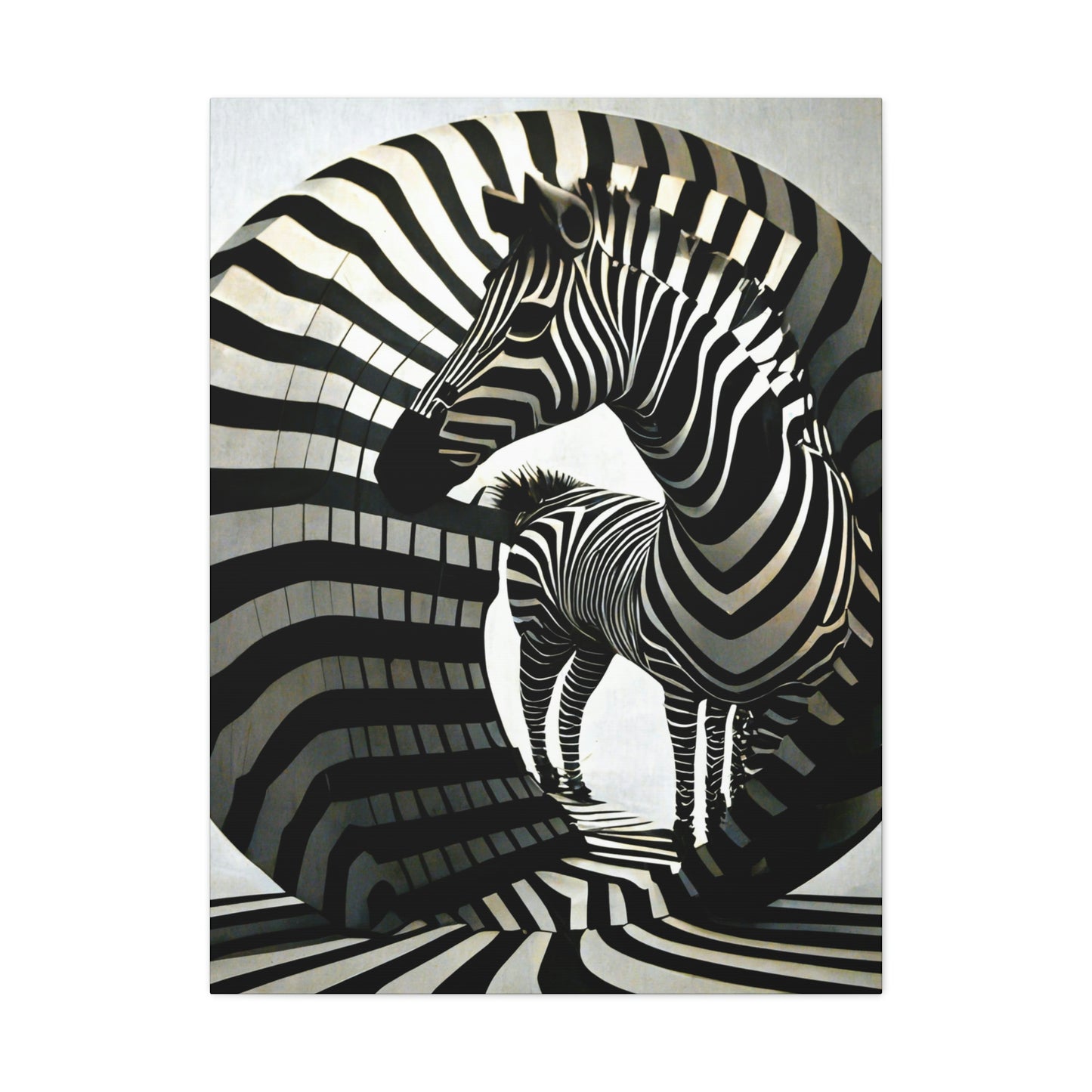 Abstract Zebra Ball Art